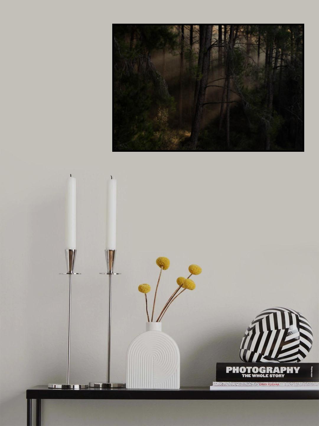 The Magic wood Poster och Canvastavla