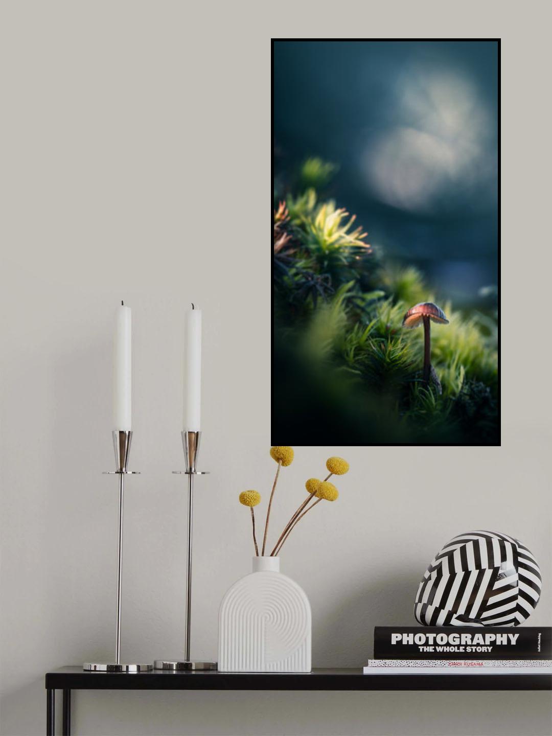 Starring in the light Poster och Canvastavla