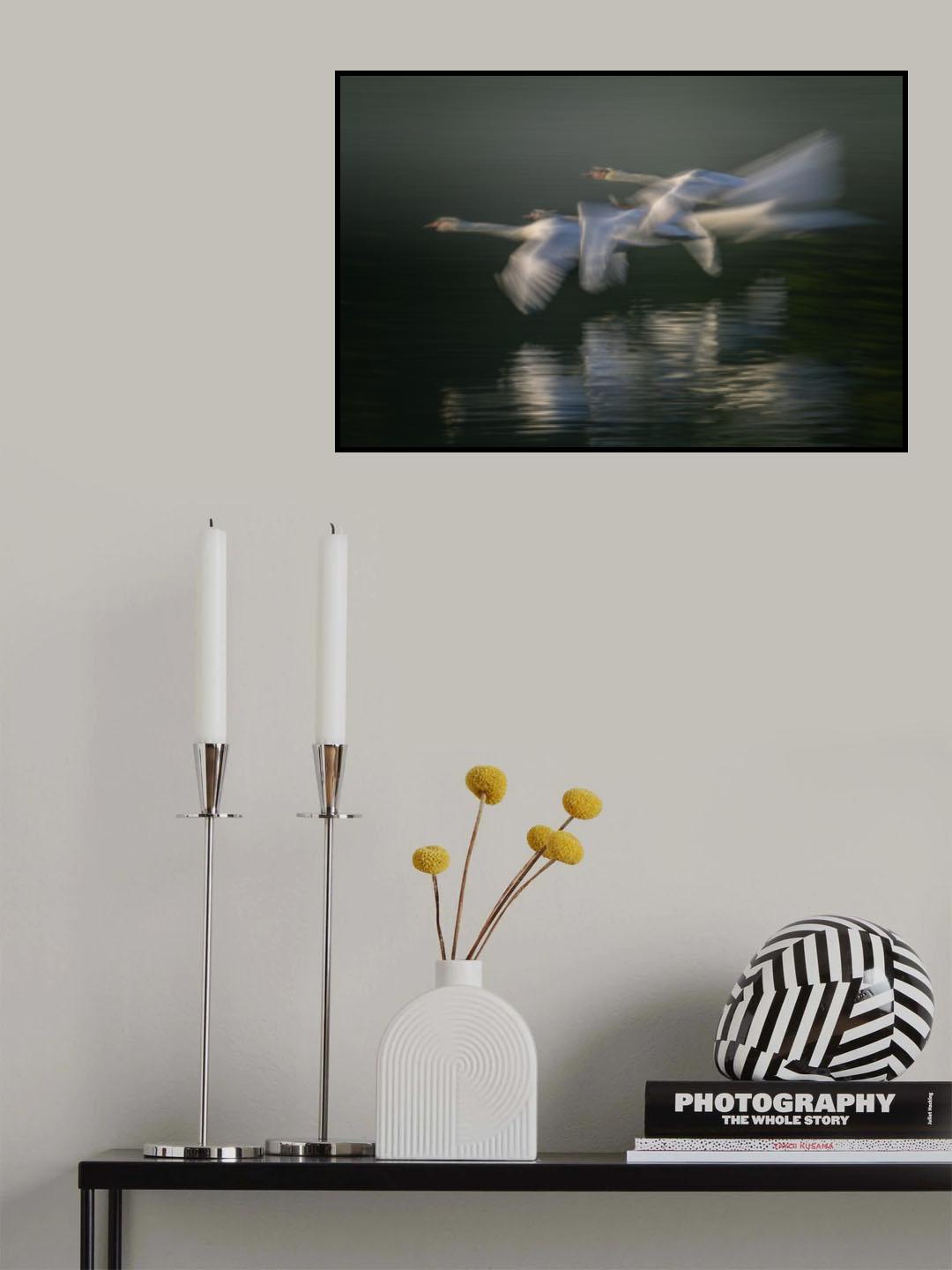 flight Poster och Canvastavla