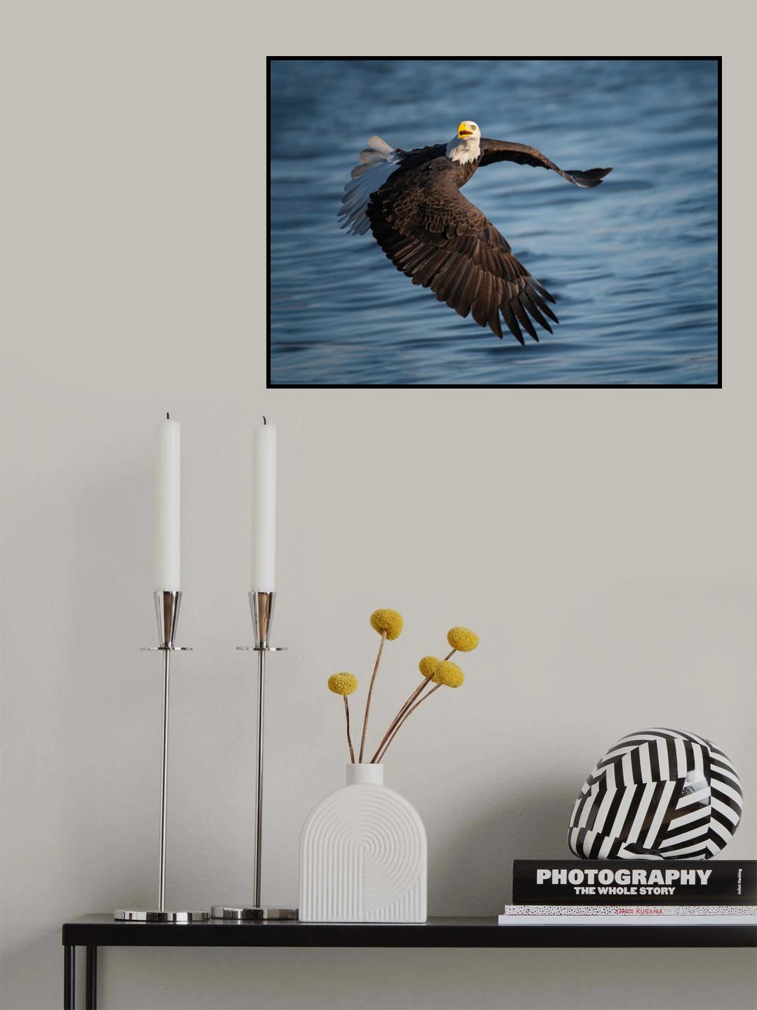 Look at Me Poster och Canvastavla