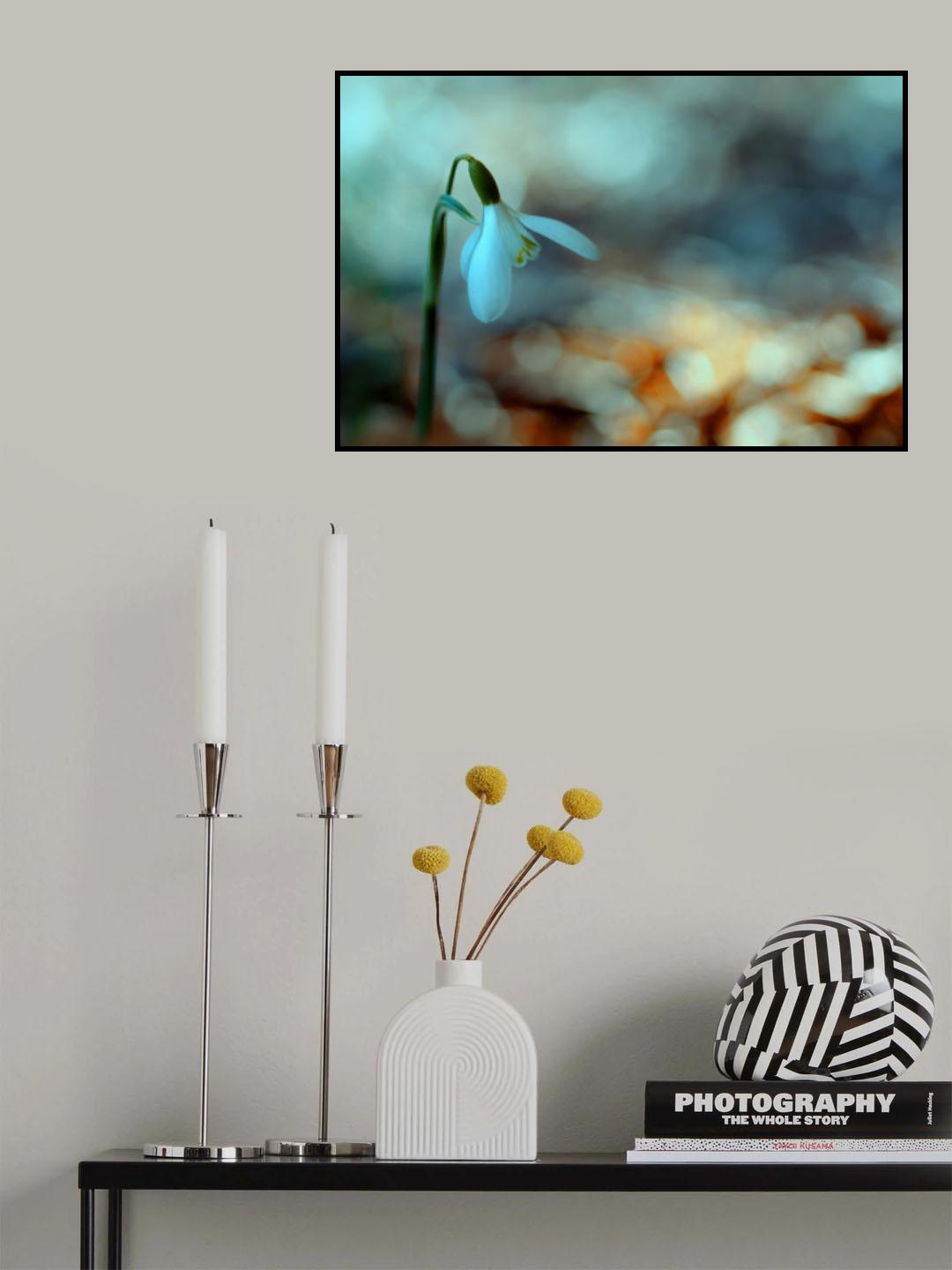 Vänd mot ljuset. Poster och Canvastavla