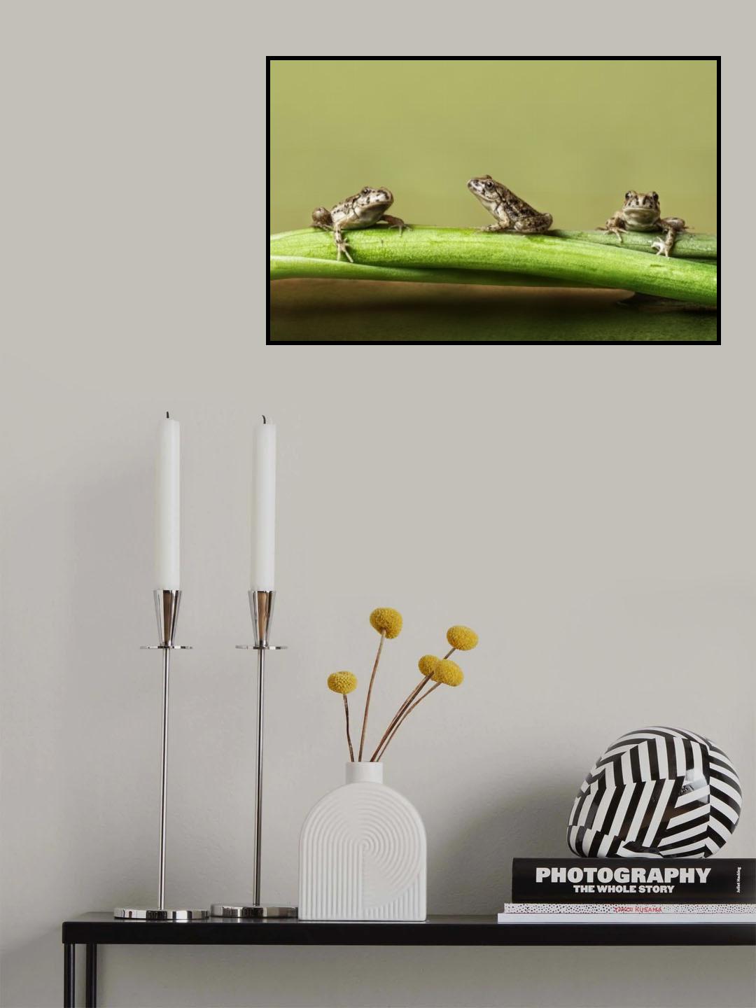 tres en rana Poster och Canvastavla