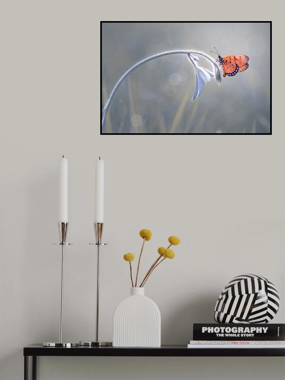 Beautiful Butterfly Poster och Canvastavla