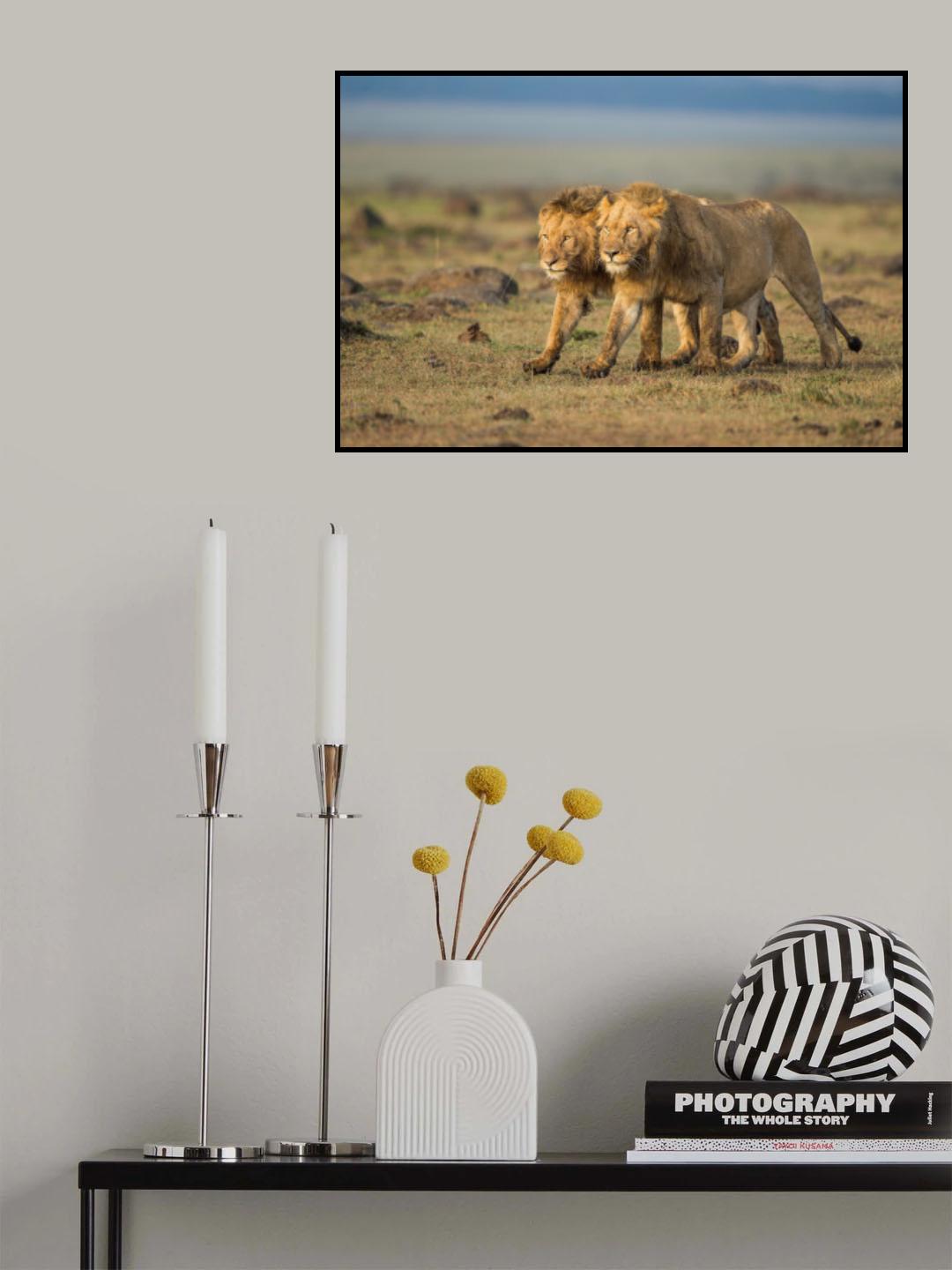 Two brothers Poster och Canvastavla