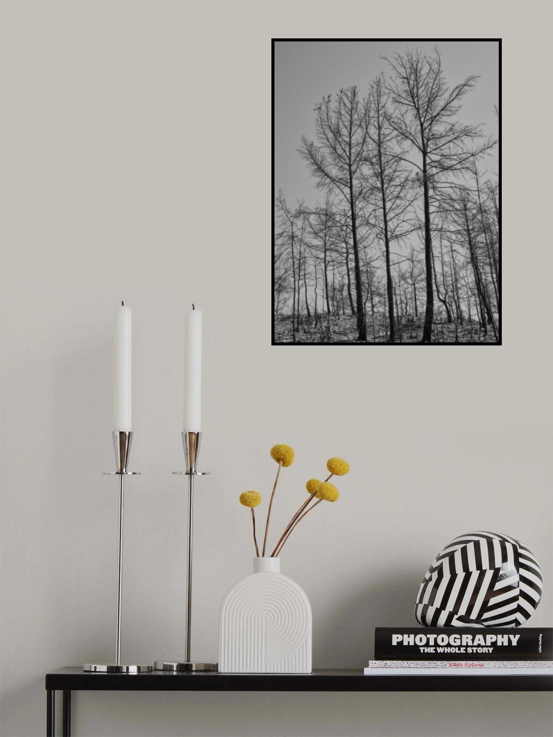 burnt trees and sky background Poster och Canvastavla