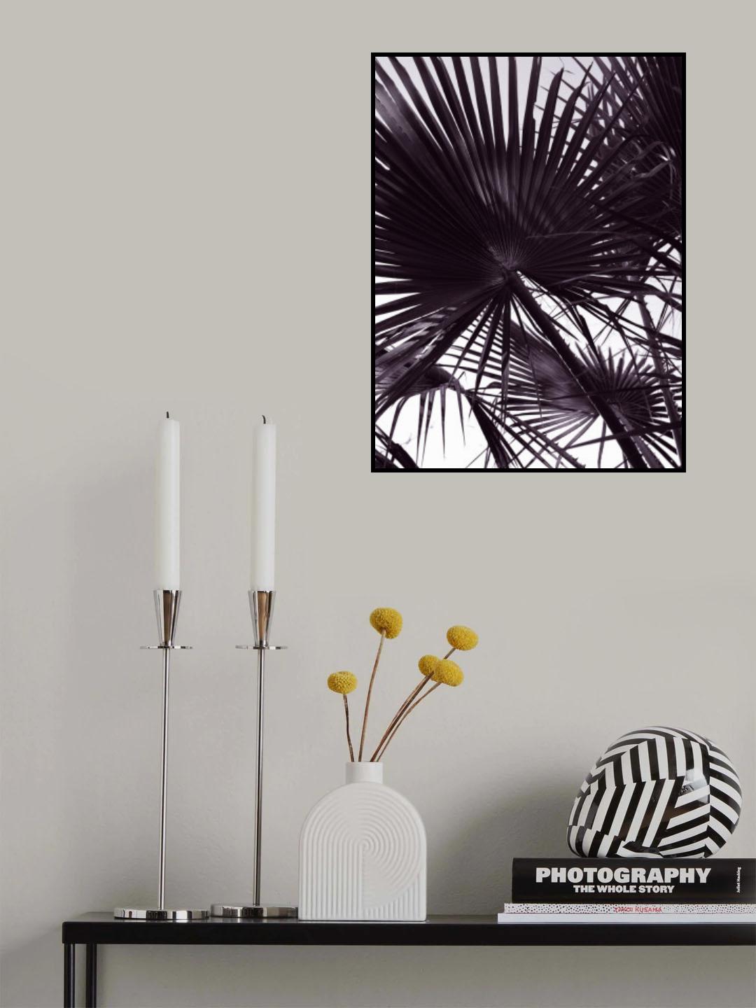 Miami Palm Two Poster och Canvastavla