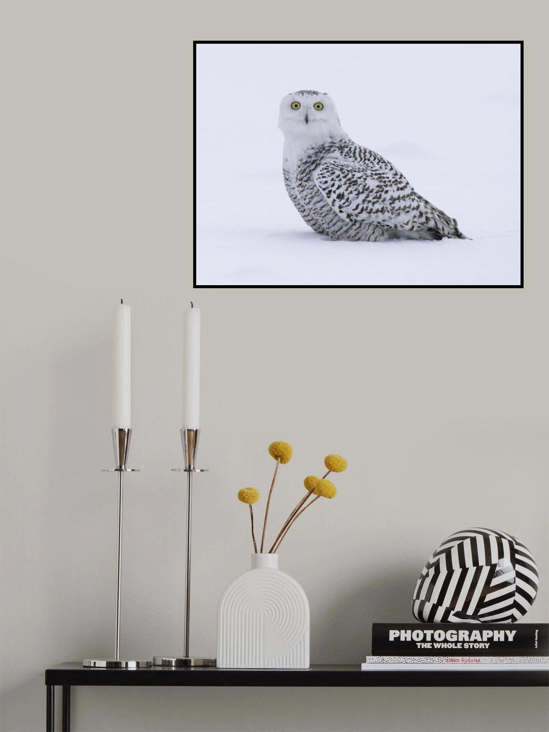 What? Poster och Canvastavla