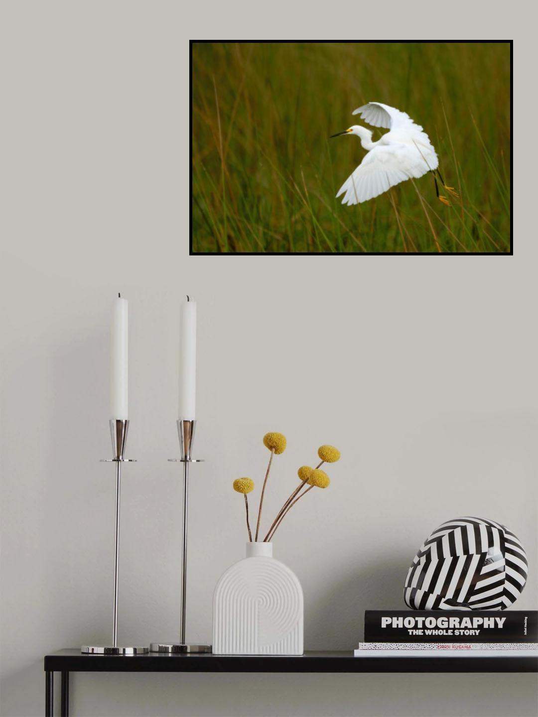 Grass Hopper Poster och Canvastavla