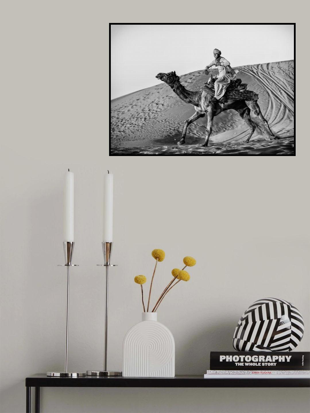 Such Fun Poster och Canvastavla