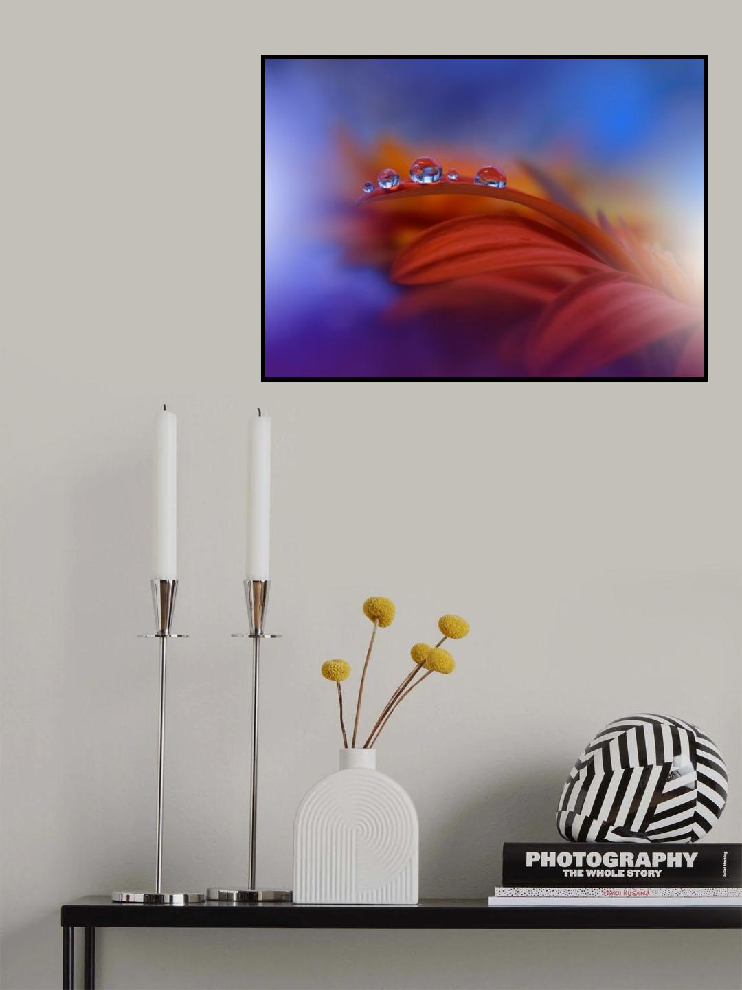 Metamorphosis Poster och Canvastavla