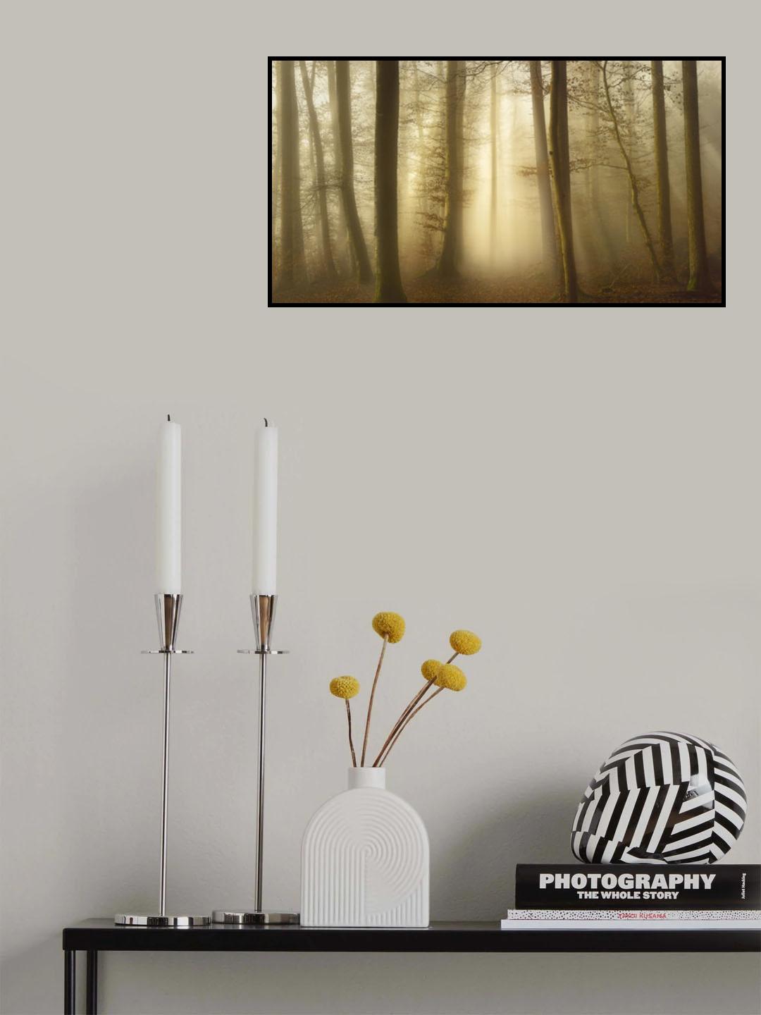 Into the Trees Poster och Canvastavla