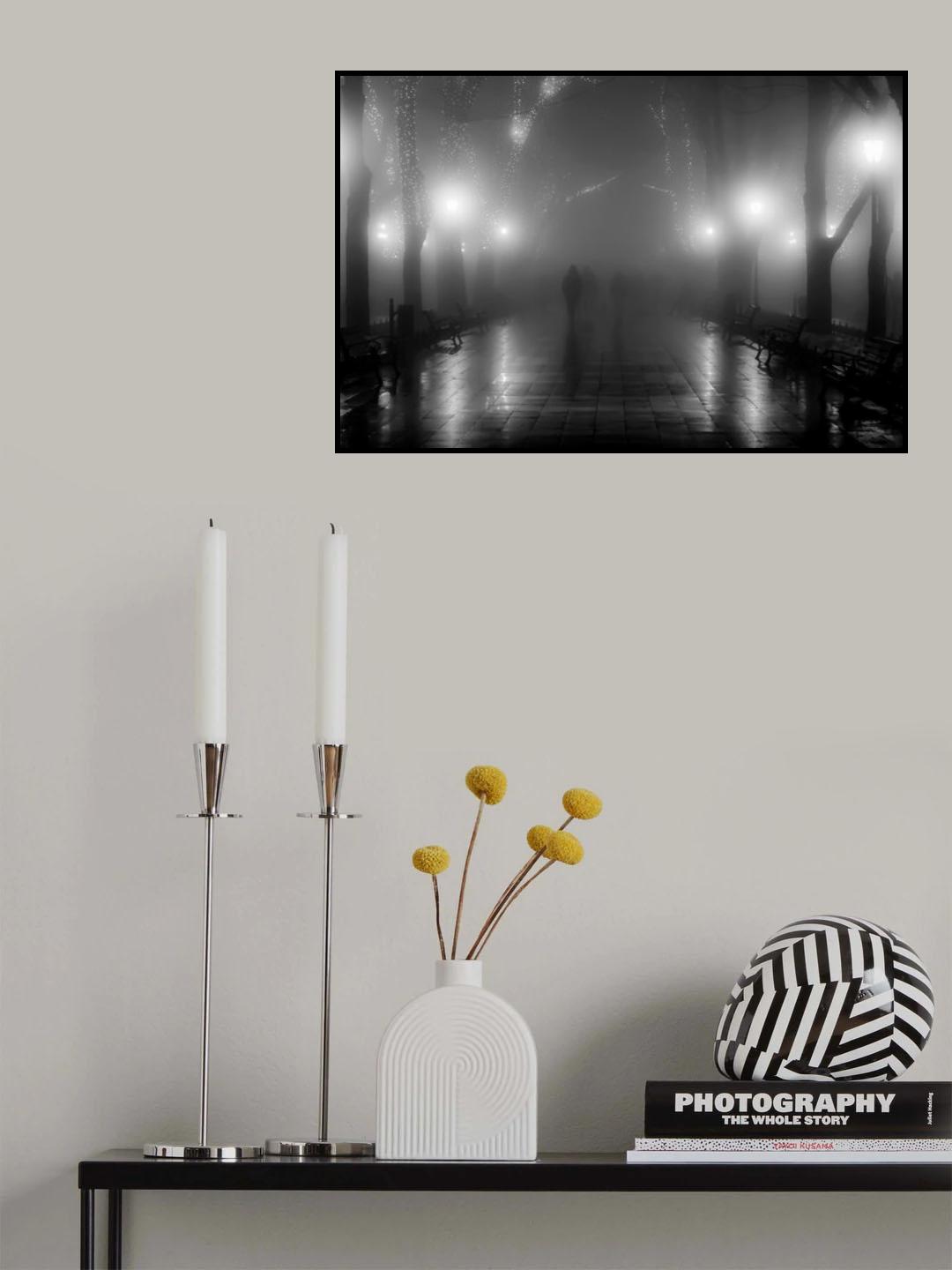 Shadow Poster och Canvastavla