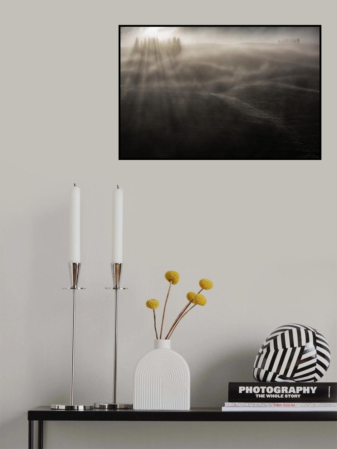 little cypresses Poster och Canvastavla