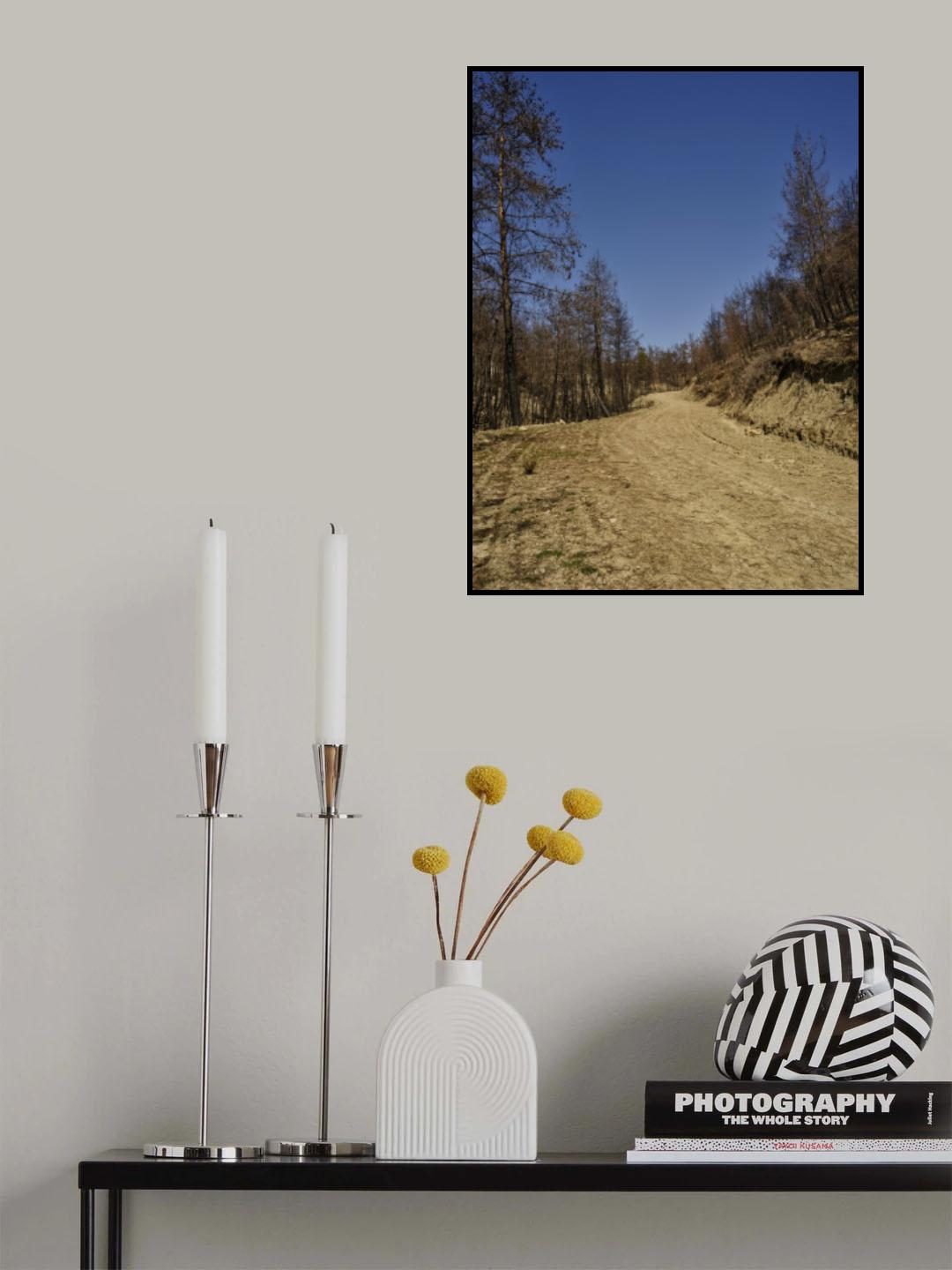 forest and path Poster och Canvastavla