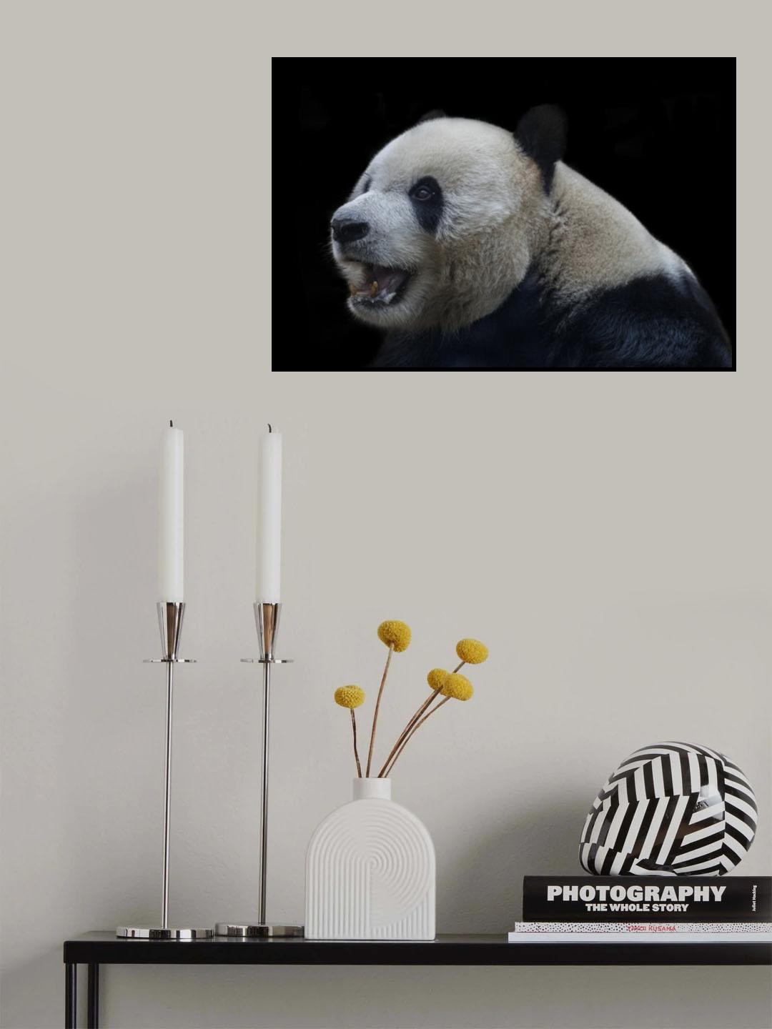 Giant Panda Poster och Canvastavla