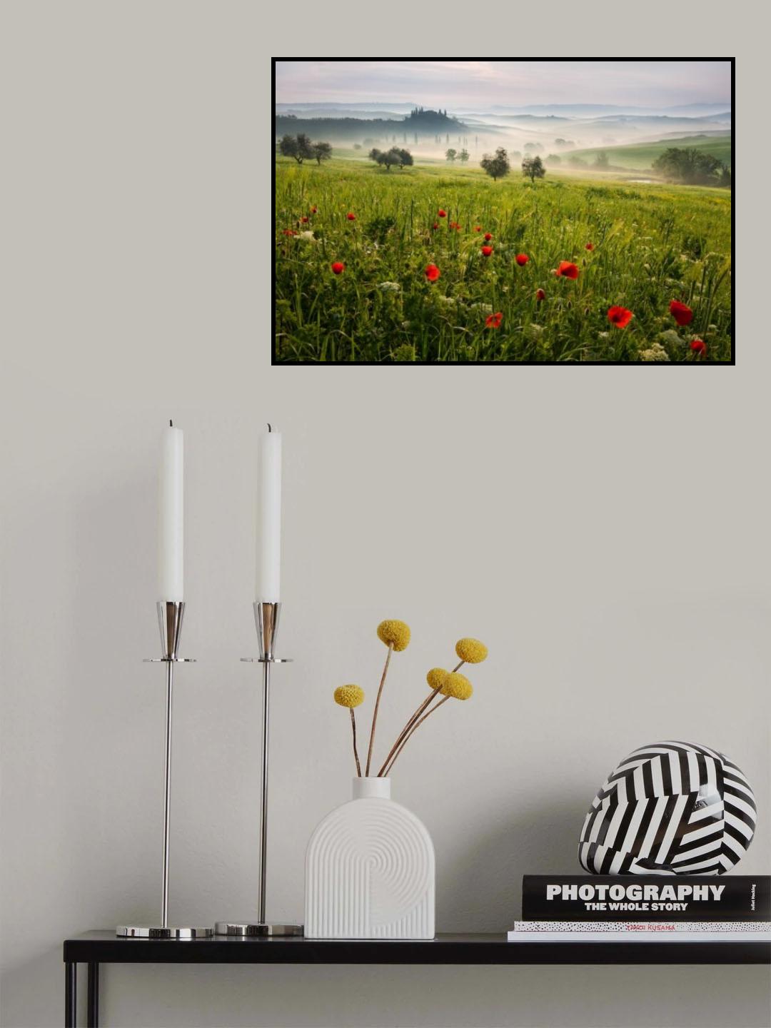 Tuscan spring Poster och Canvastavla