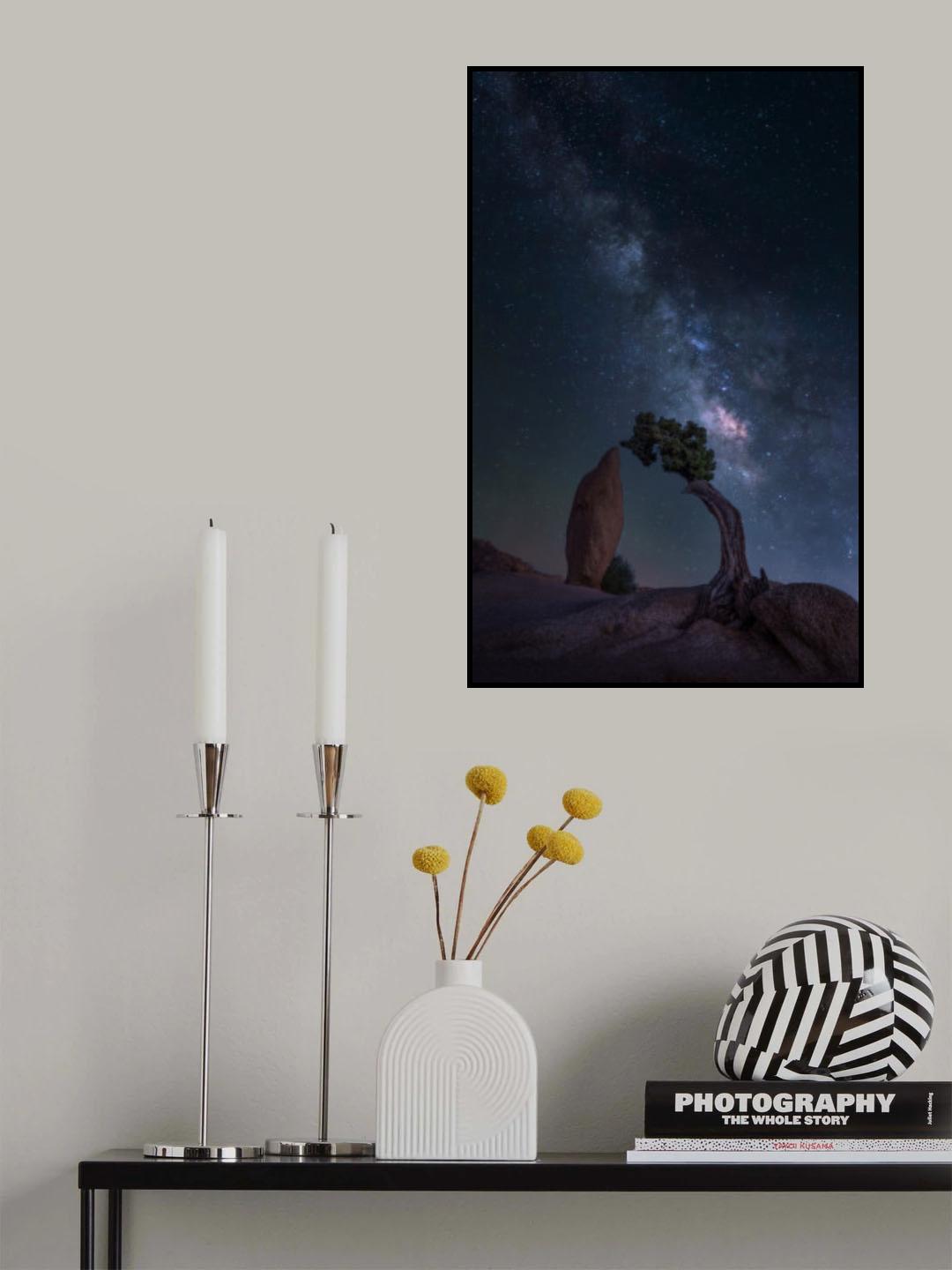 Kiss of the Century Poster och Canvastavla