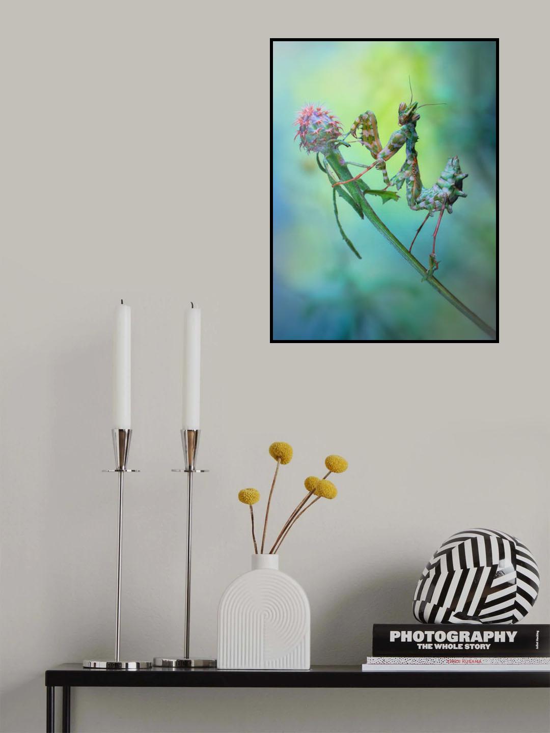 Nymph Poster och Canvastavla
