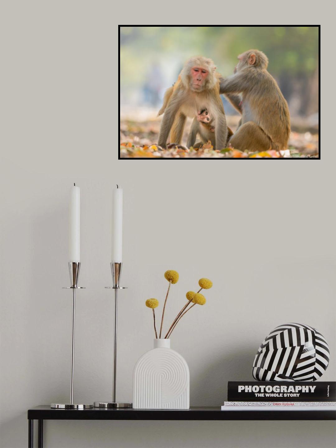 The Monkey Family Poster och Canvastavla