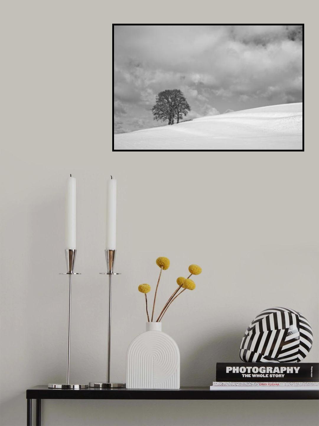 A cloudy winter day Poster och Canvastavla
