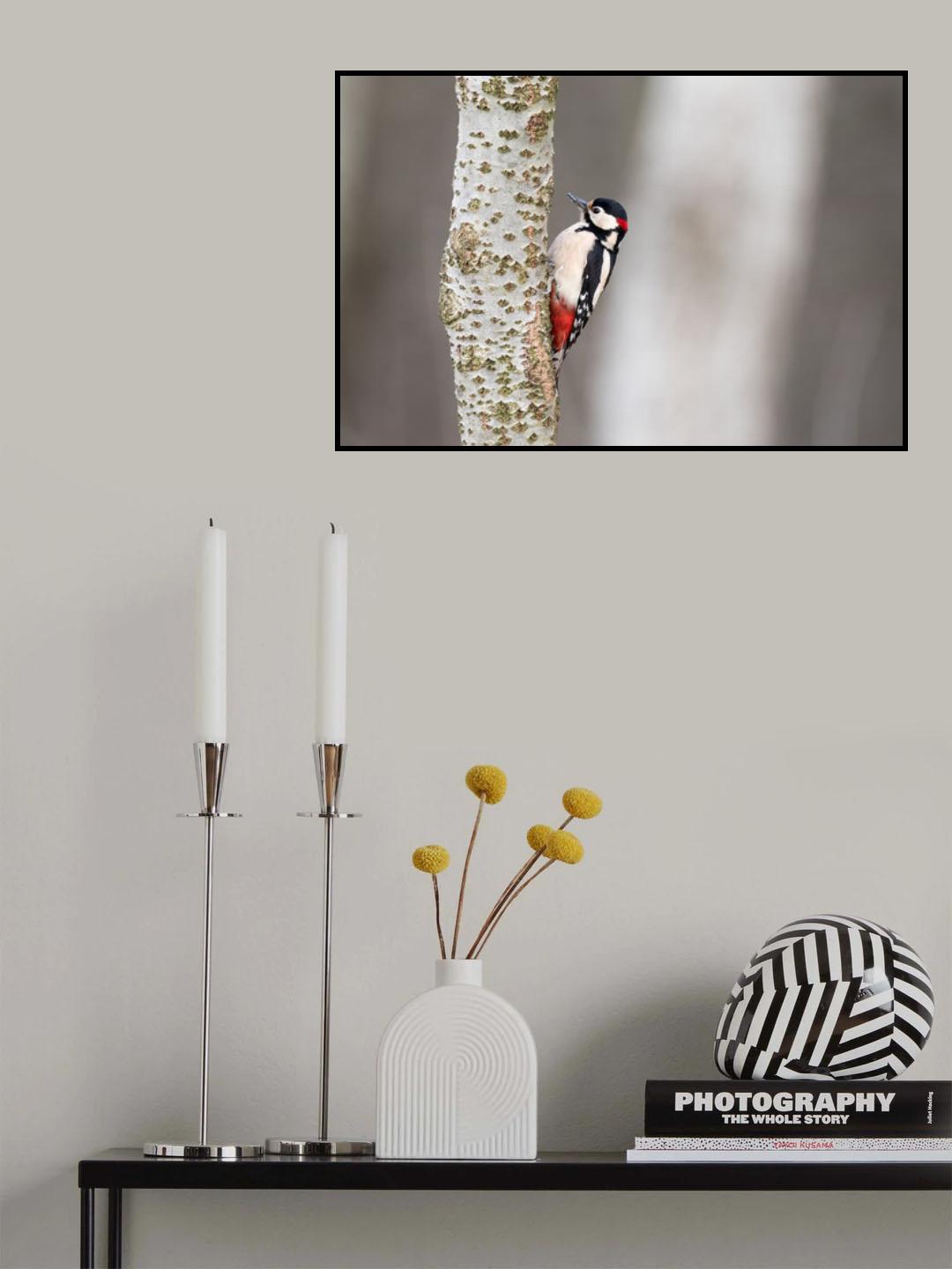 Great Woodpecker Poster och Canvastavla