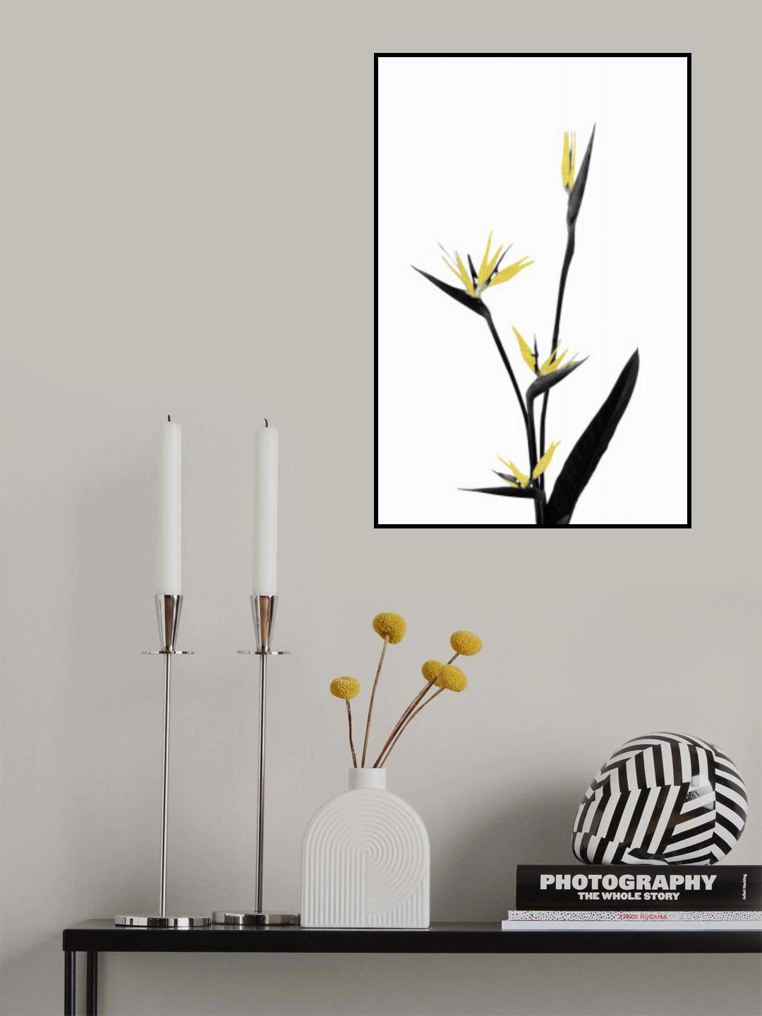 Flower Minimal Black and Gold 05 Poster och Canvastavla