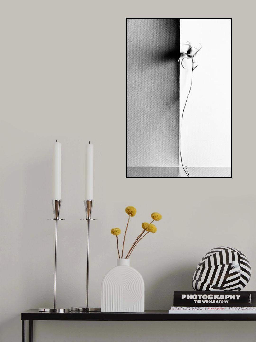REBIRTH Poster och Canvastavla