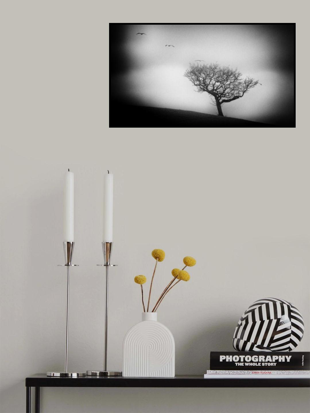 Trees always die standing Poster och Canvastavla