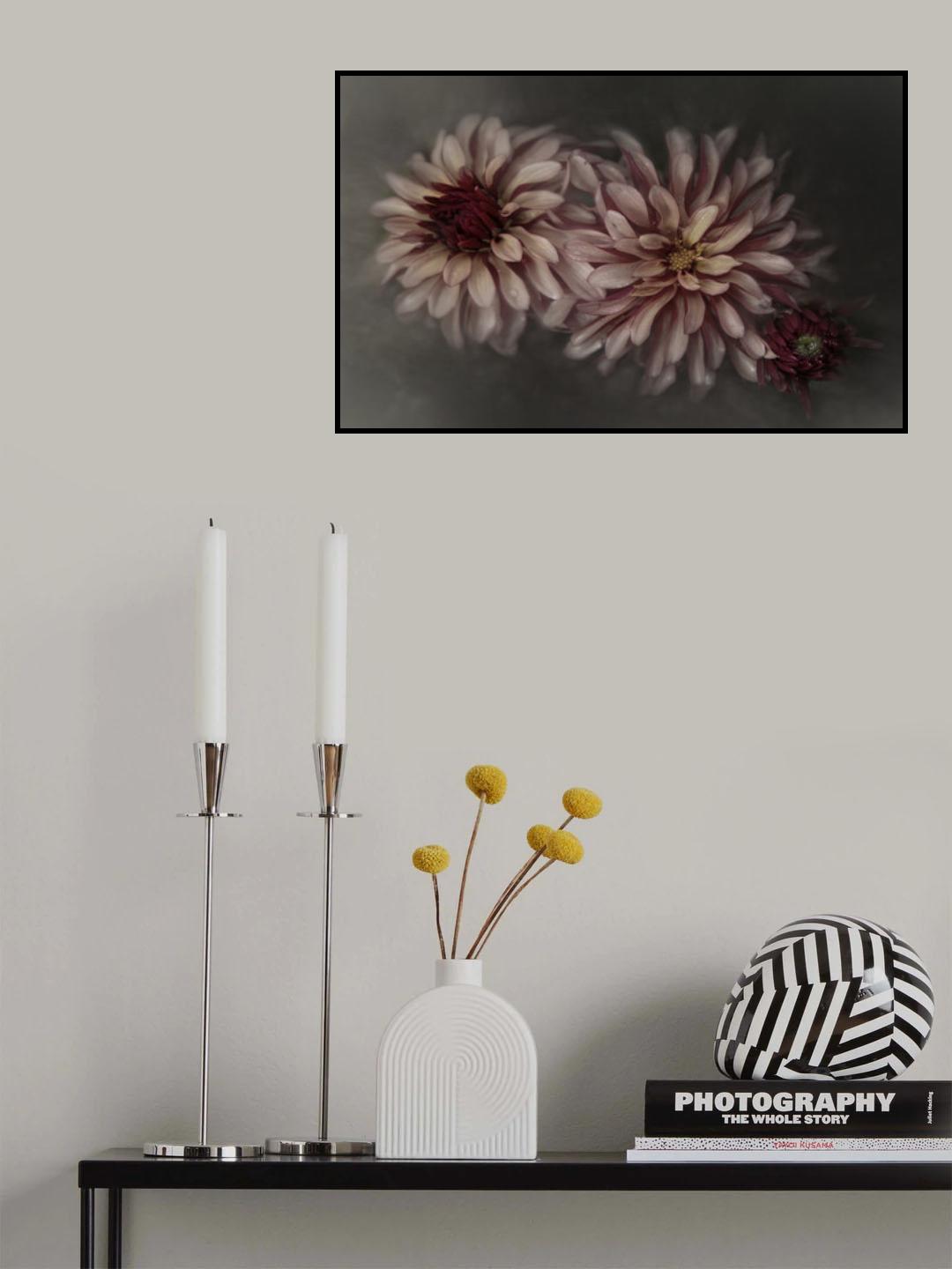 Dahlia family Poster och Canvastavla