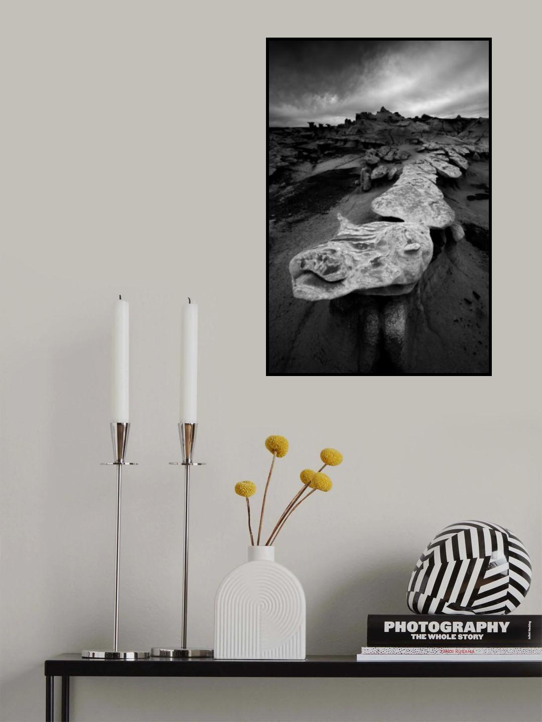 Tale of the Dragon Poster och Canvastavla