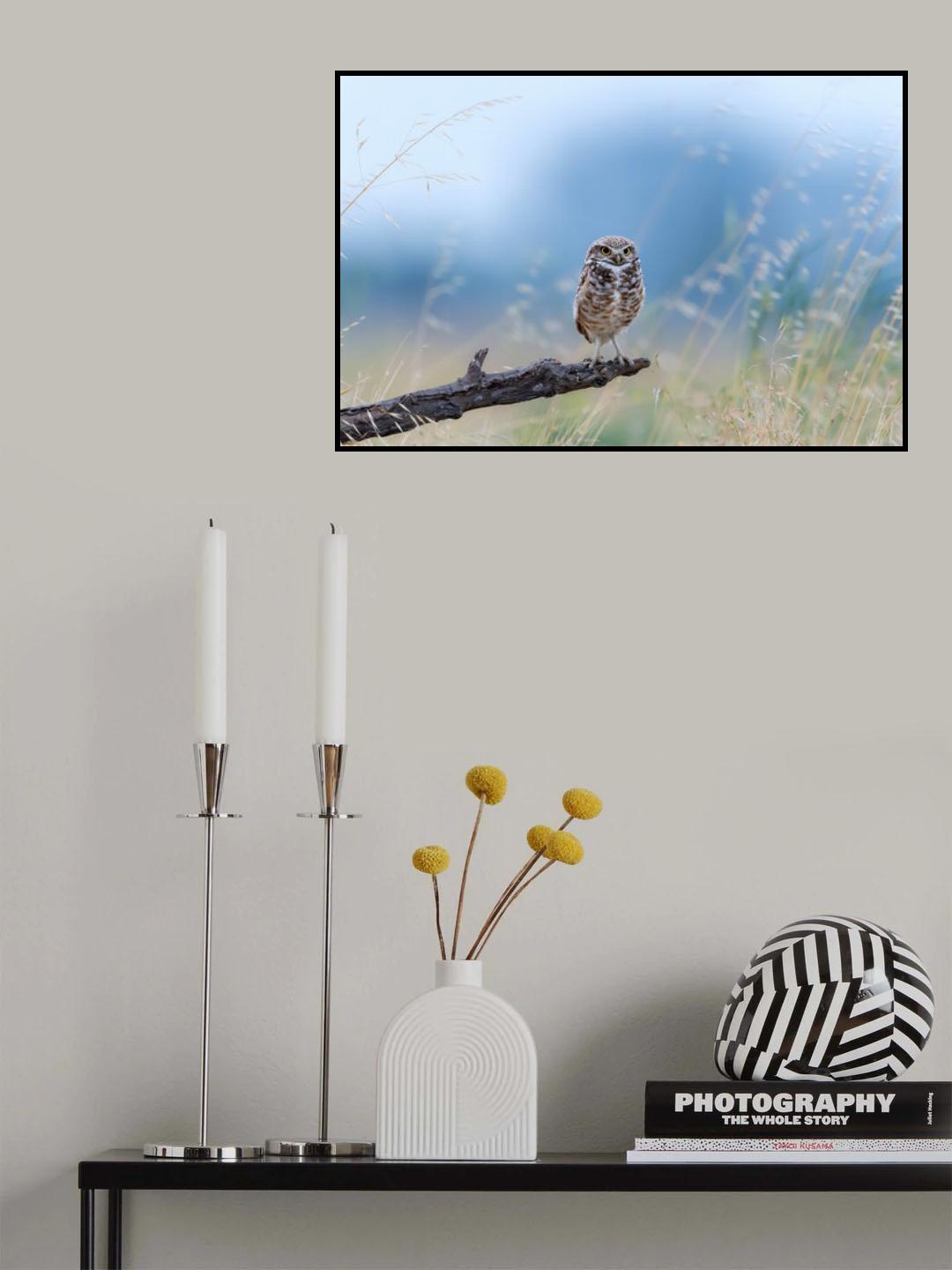 Looking Poster och Canvastavla