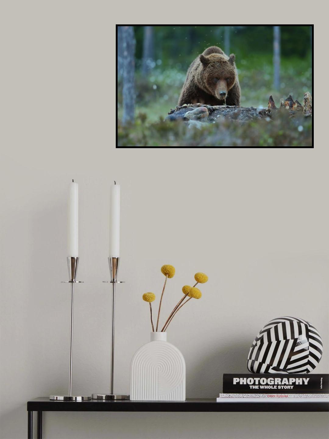 Brown Bear Poster och Canvastavla