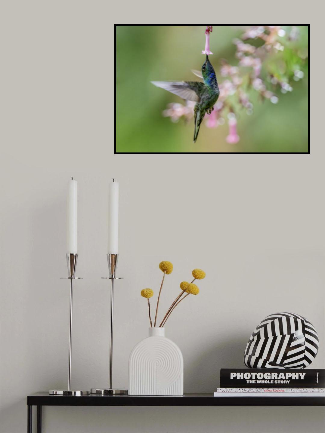 Enjoy Poster och Canvastavla