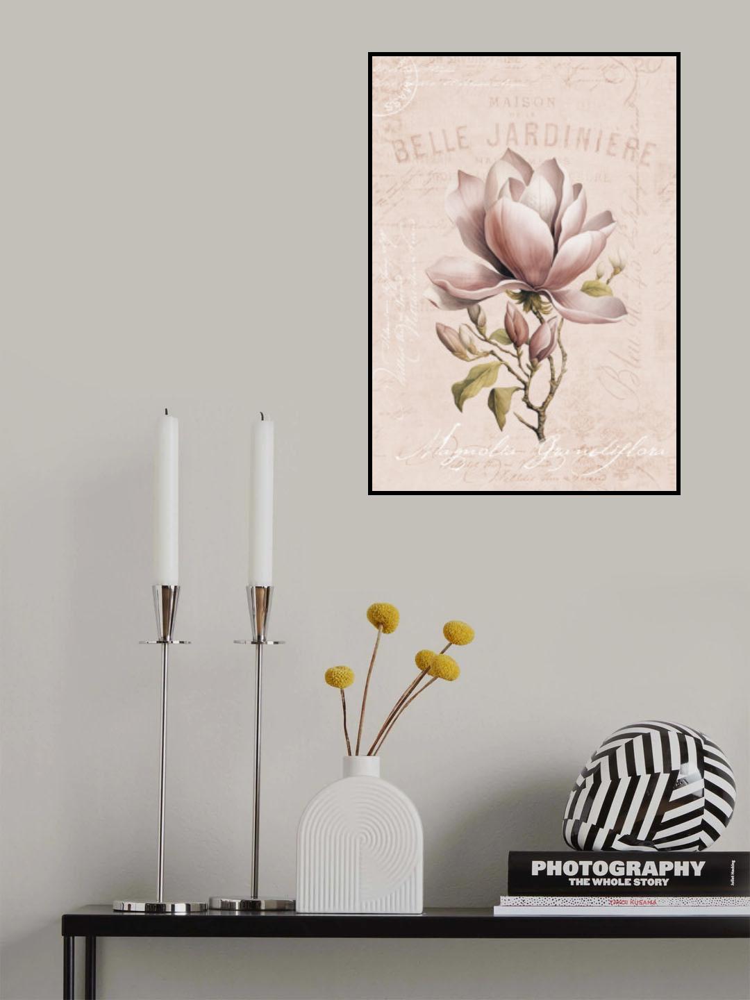 Magnolia Blush No1 Poster och Canvastavla
