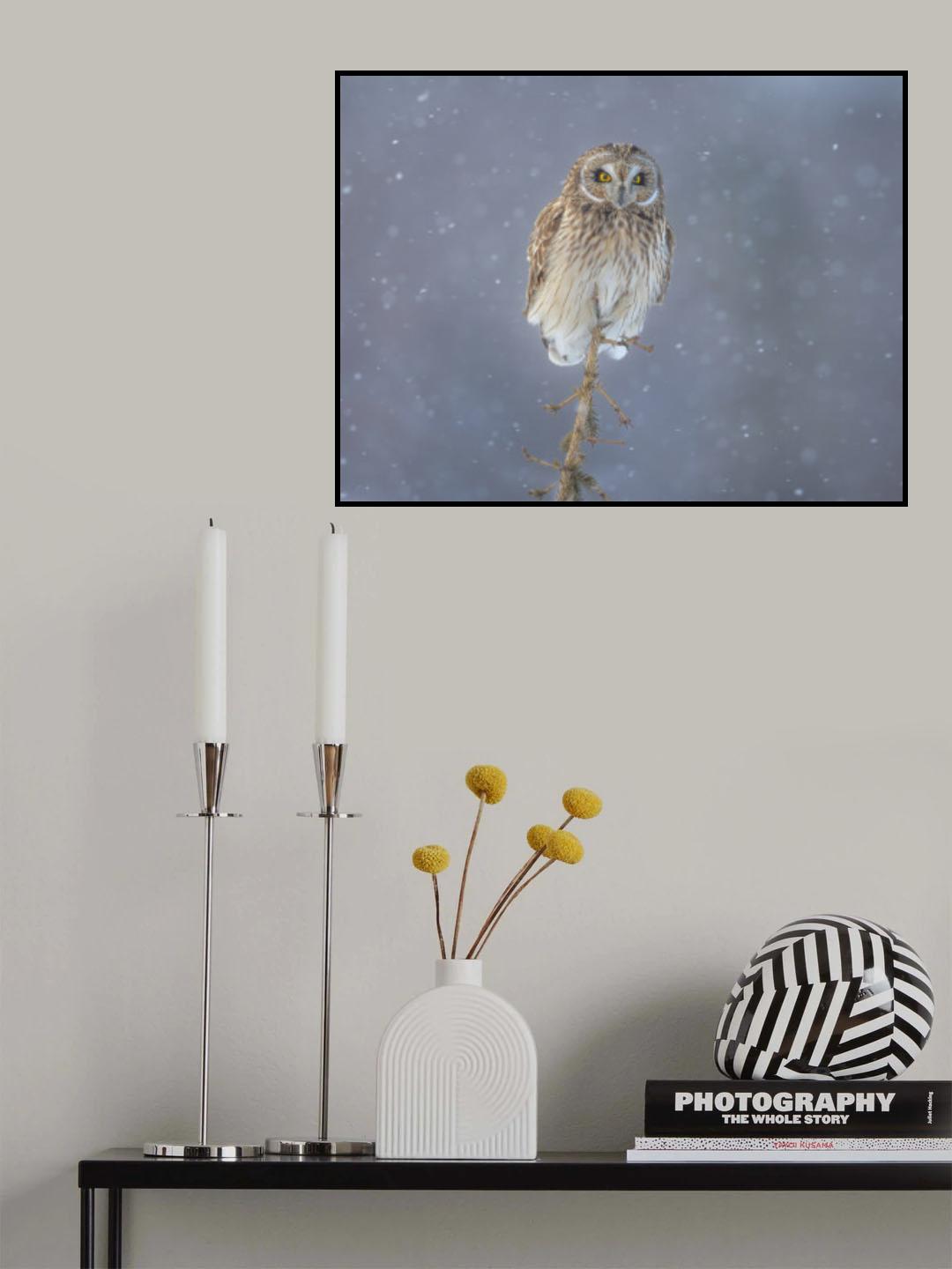 On a snowing day Poster och Canvastavla