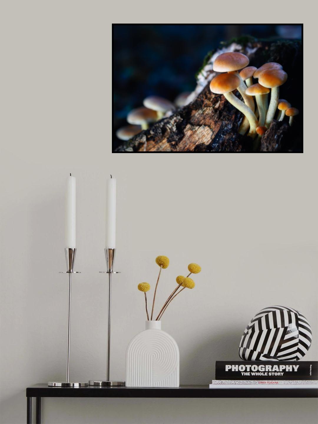 Fantasy Mushrooms 2 Poster och Canvastavla
