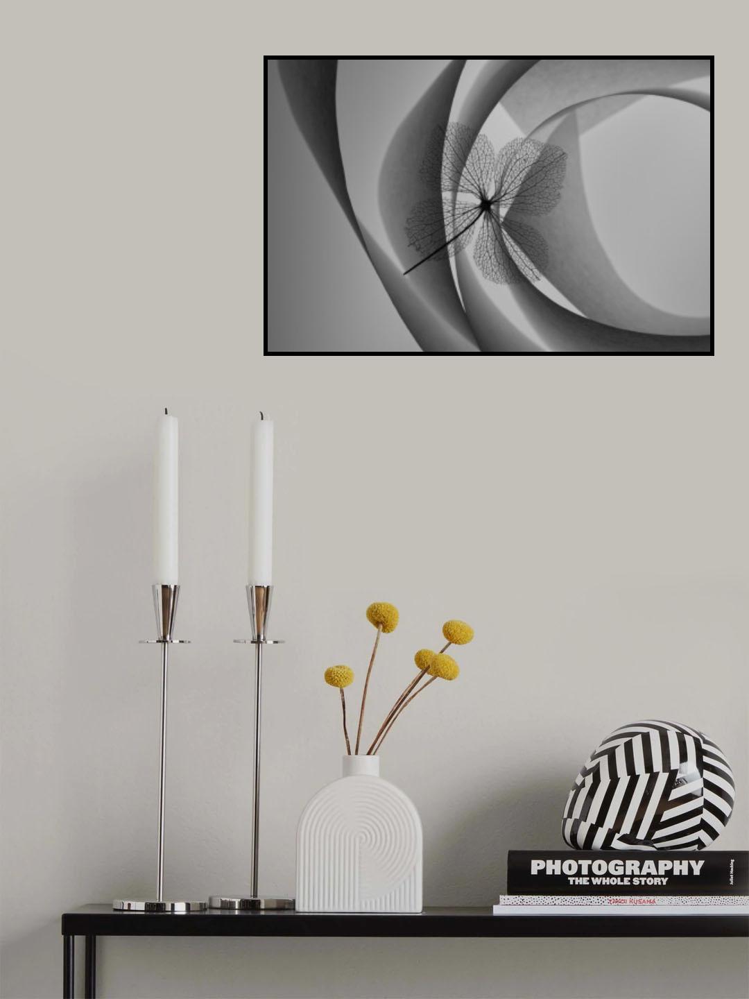 Hydrangea Poster och Canvastavla