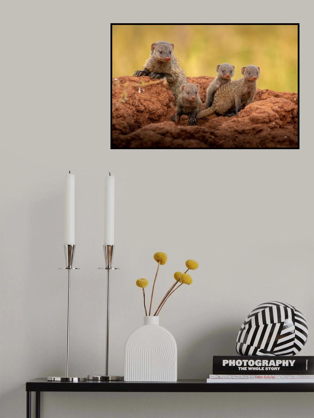 Attraction Poster och Canvastavla