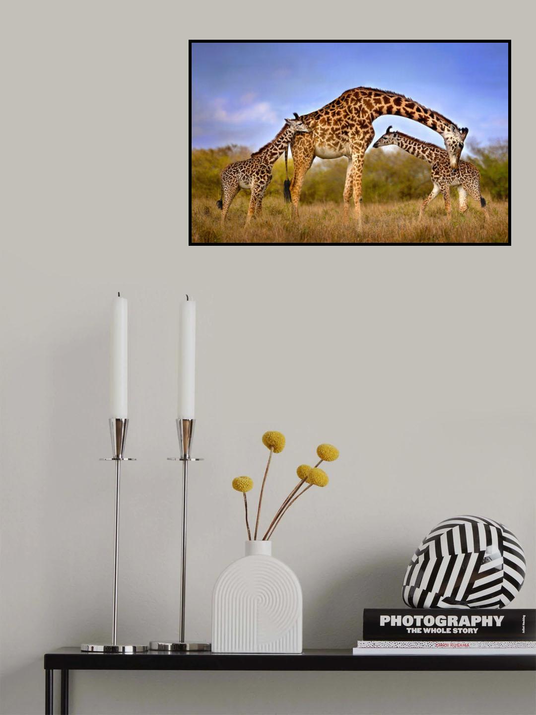 Giraffe with cubs Poster och Canvastavla