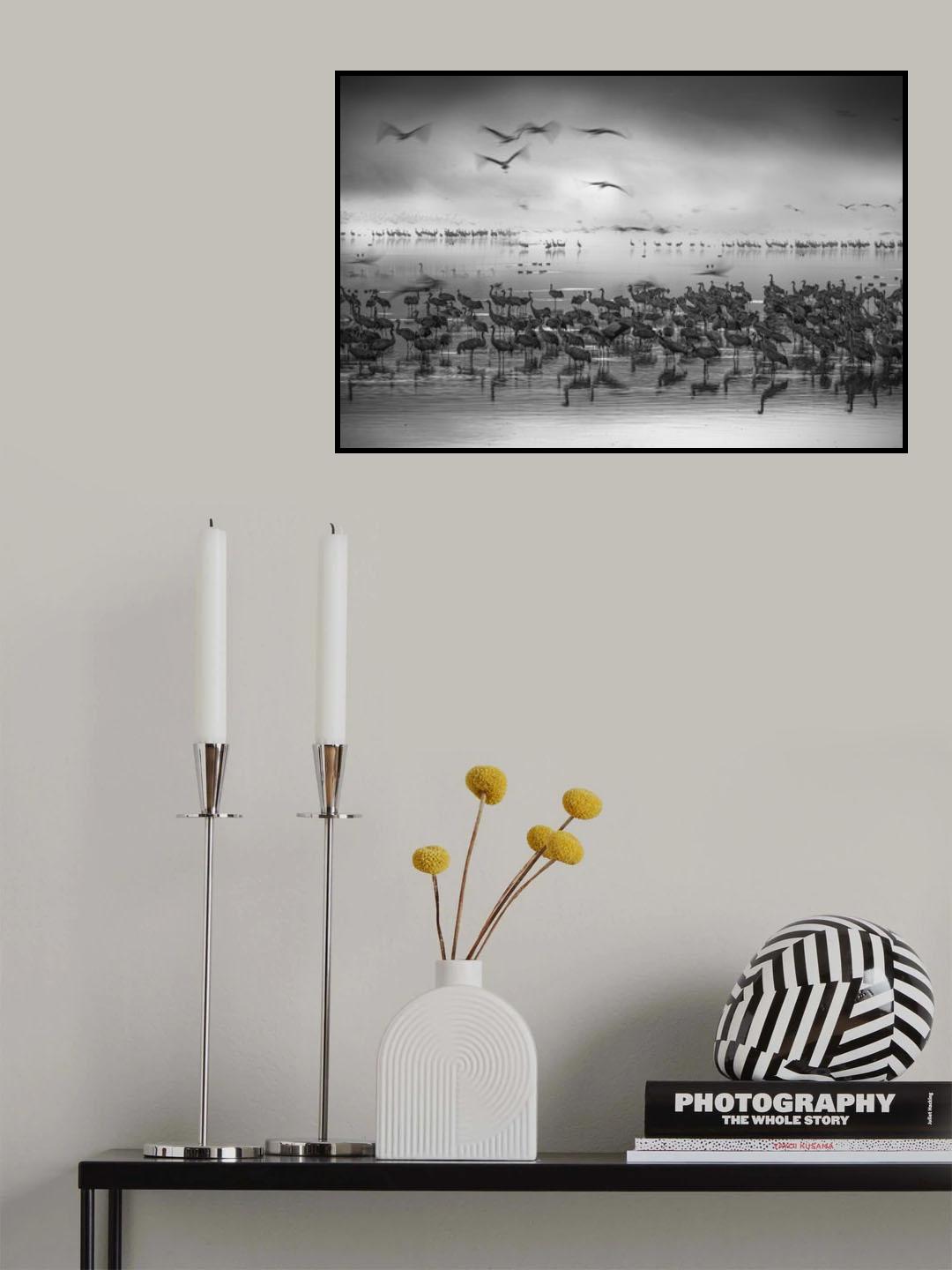 Poster och Canvastavla