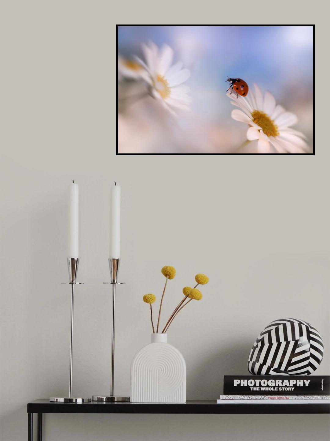 Longing for light Poster och Canvastavla