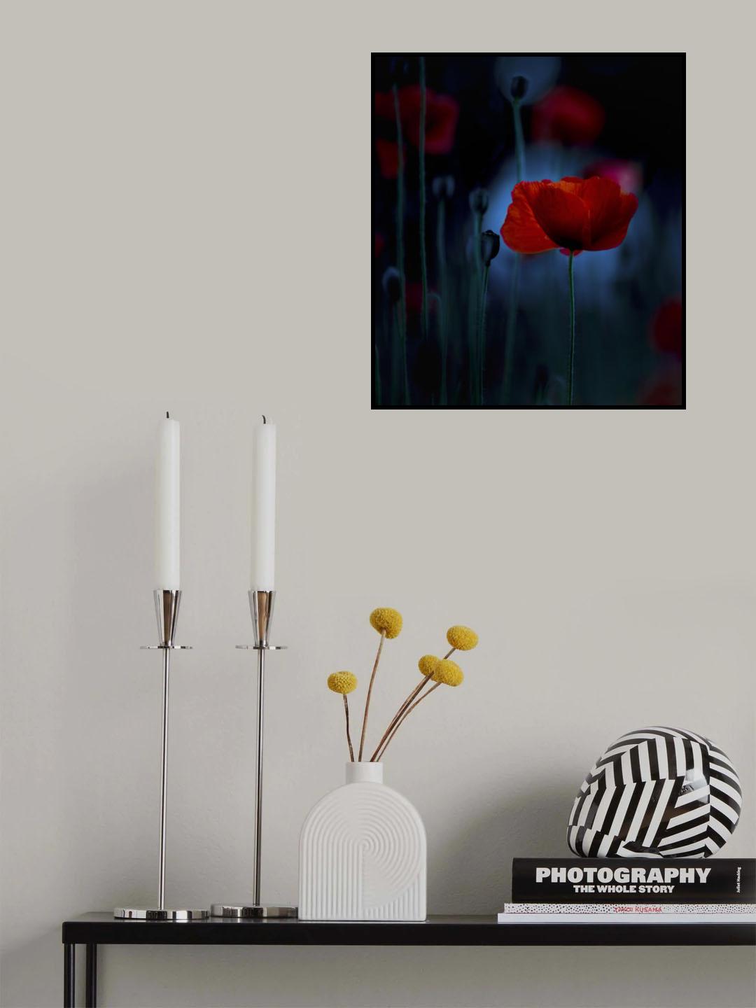 Poster och Canvastavla