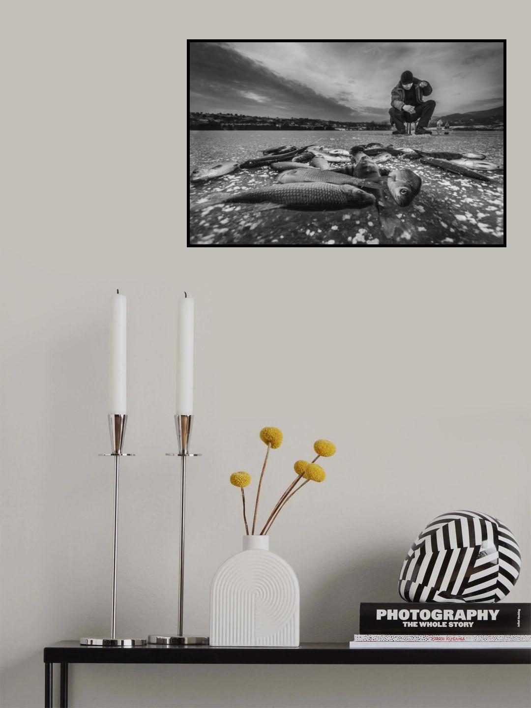 For fish Poster och Canvastavla