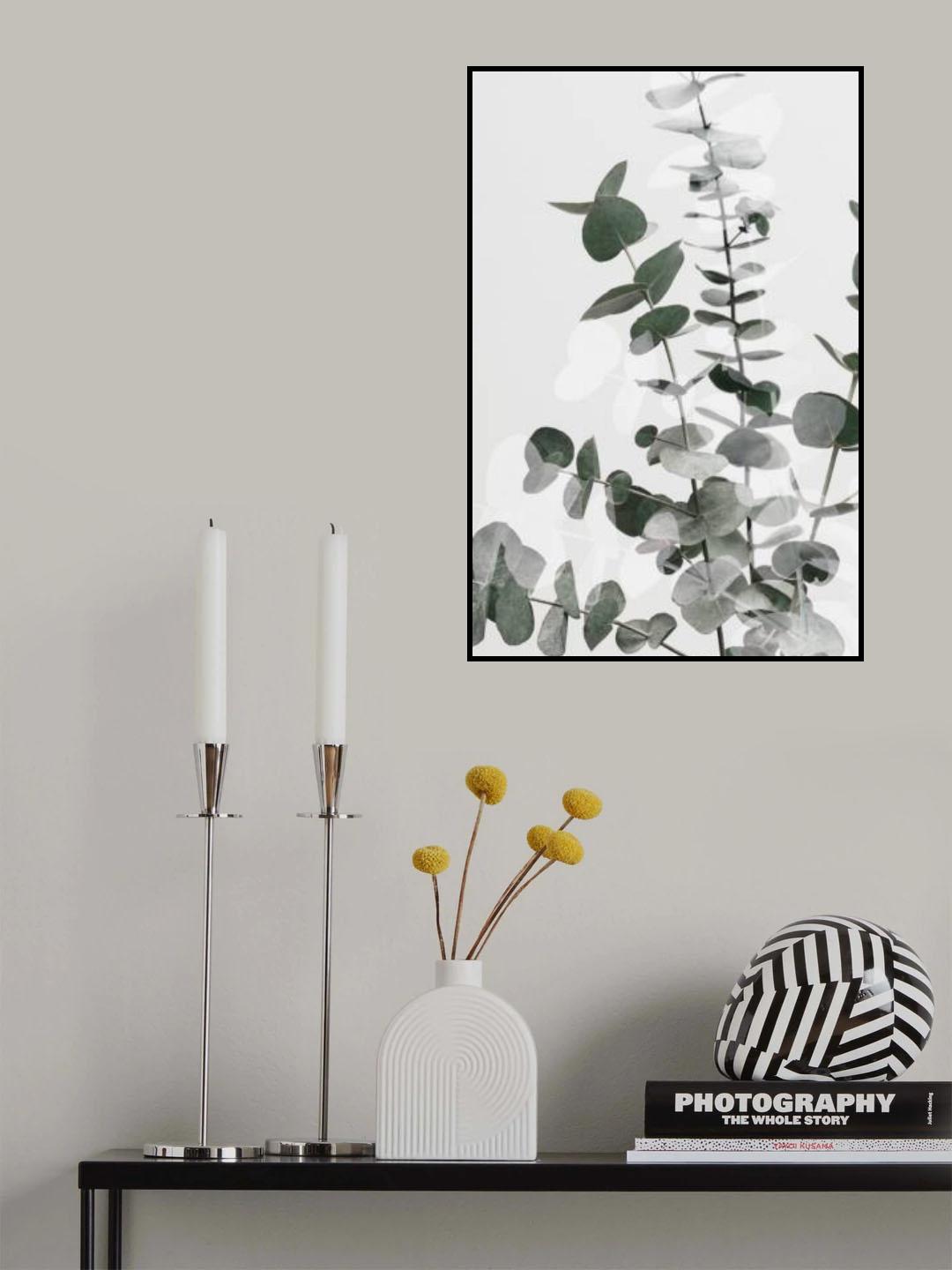 Eucalyptus Creative 06 Poster och Canvastavla