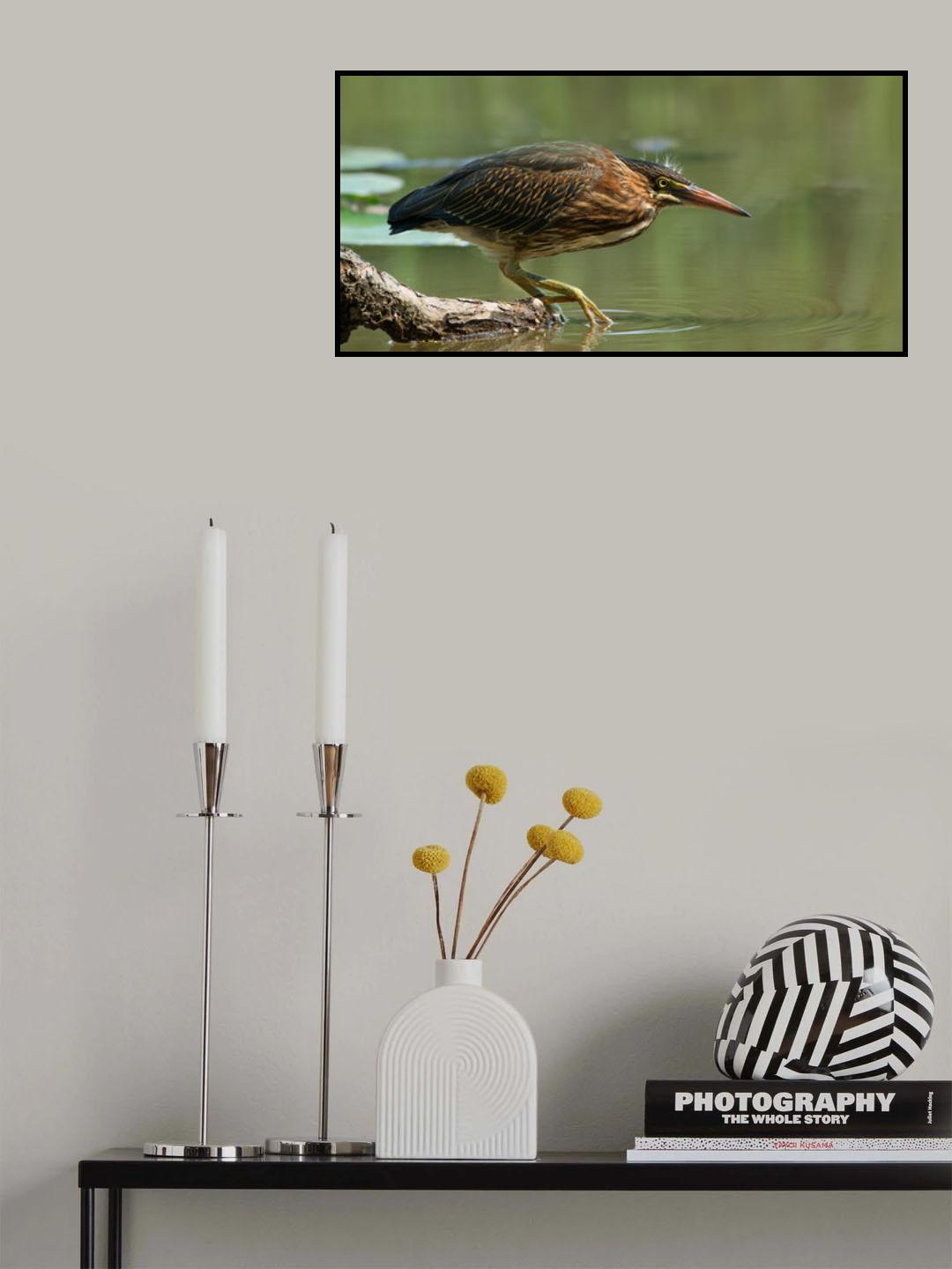 Wading Into The Unknown Poster och Canvastavla
