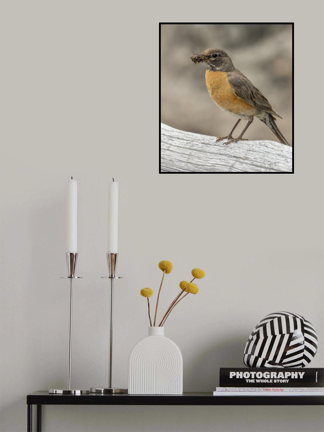 Poster och Canvastavla