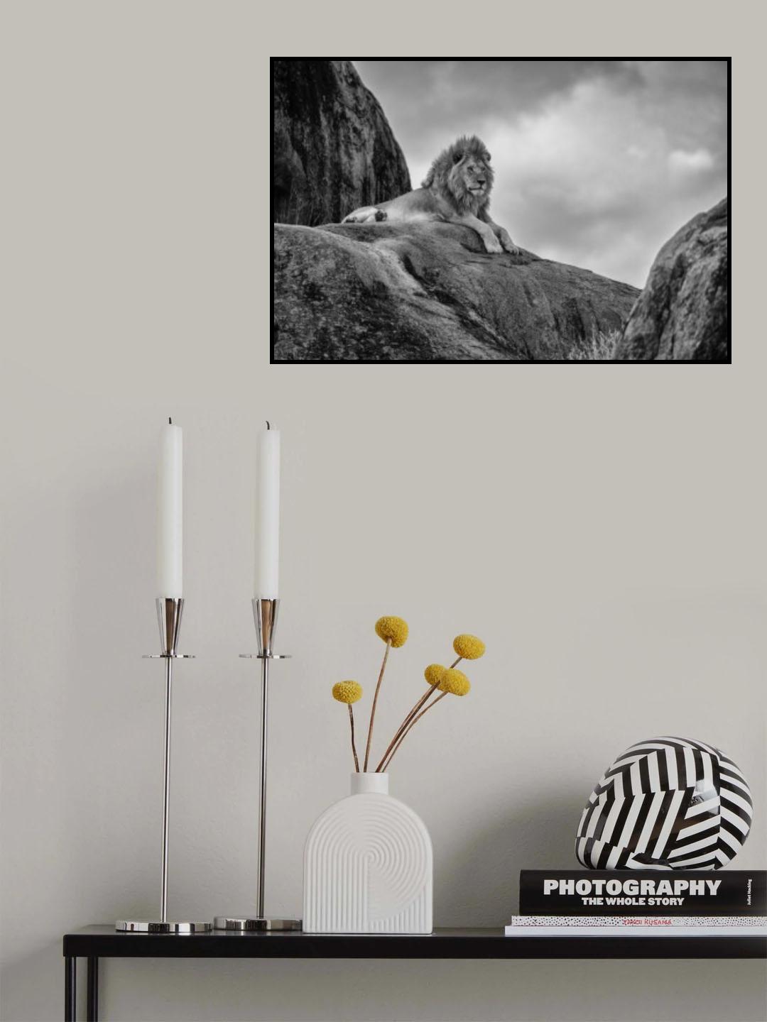 The King! Poster och Canvastavla