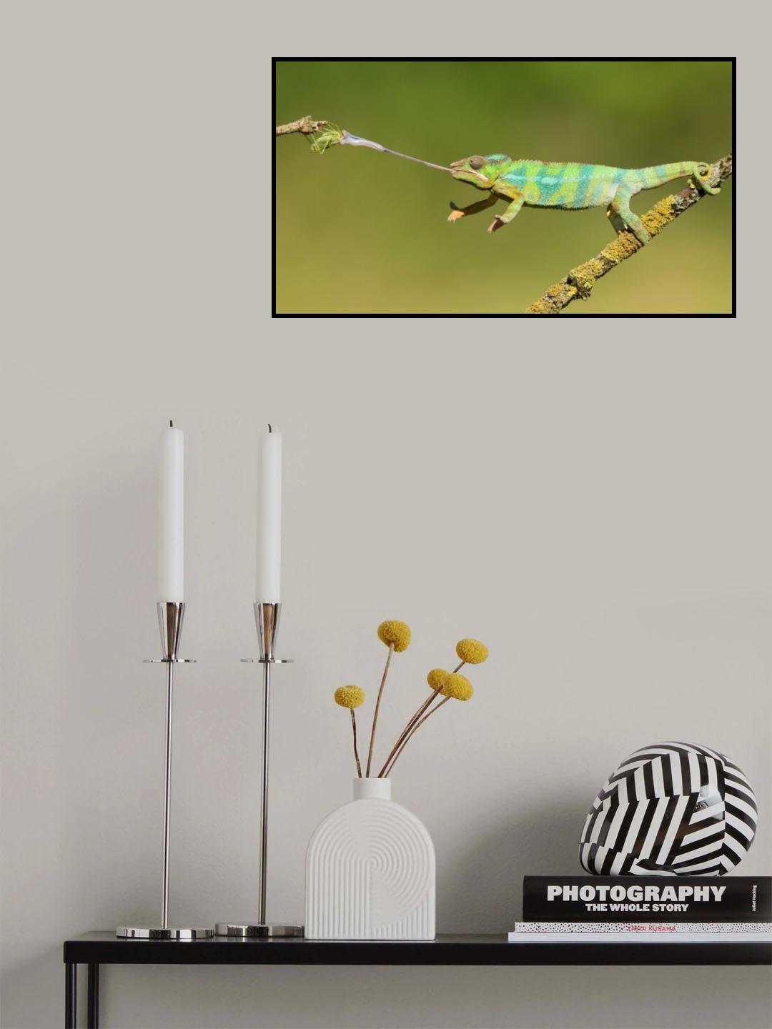 Panther chameleon Poster och Canvastavla