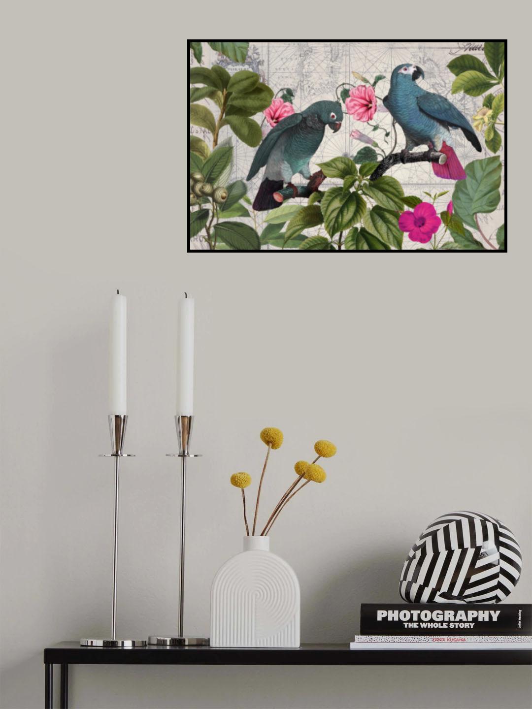 Parrots Nostalgic Journey Kopie Poster och Canvastavla