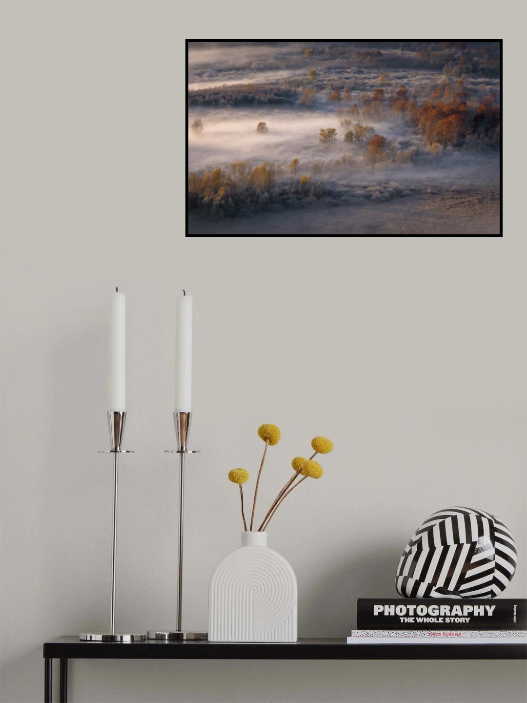 swamp forest Poster och Canvastavla
